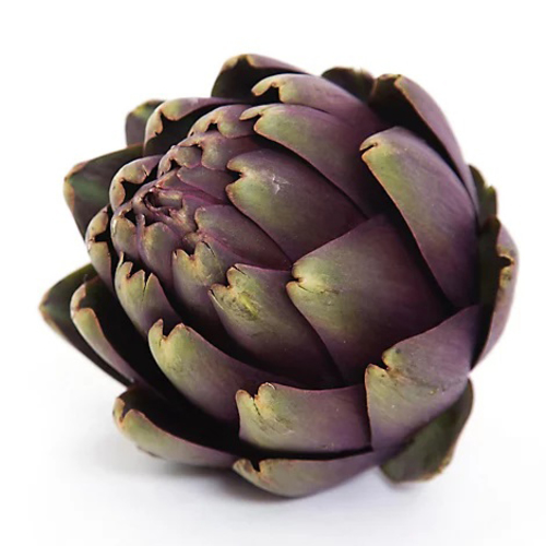 Purple Artichokes