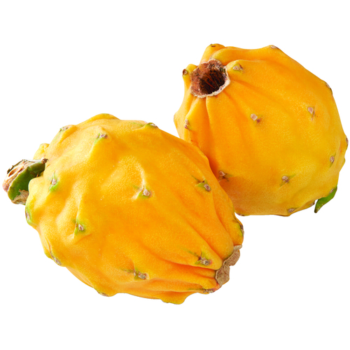 Yellow Pitahaya