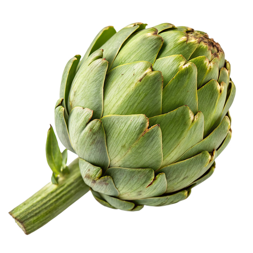 Large Artichokes