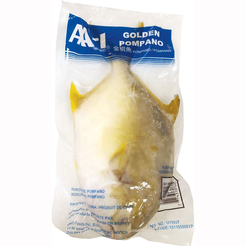 AA-1 Fish Golden Pompano