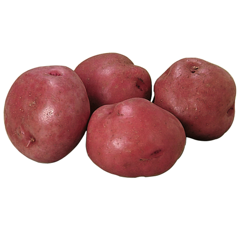 Farmers Keepers Potatoes Russet
