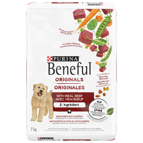 Beneful Originals with Real Salmon Dry Dog Food