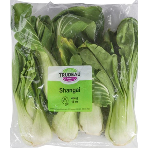 Buy Trudeau Mini Bok Choy 454 g | Sobeys Inc.