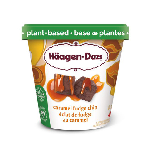 Buy Haagen-Dazs Plant-based Frozen Dessert Caramel Fudge Chip 400