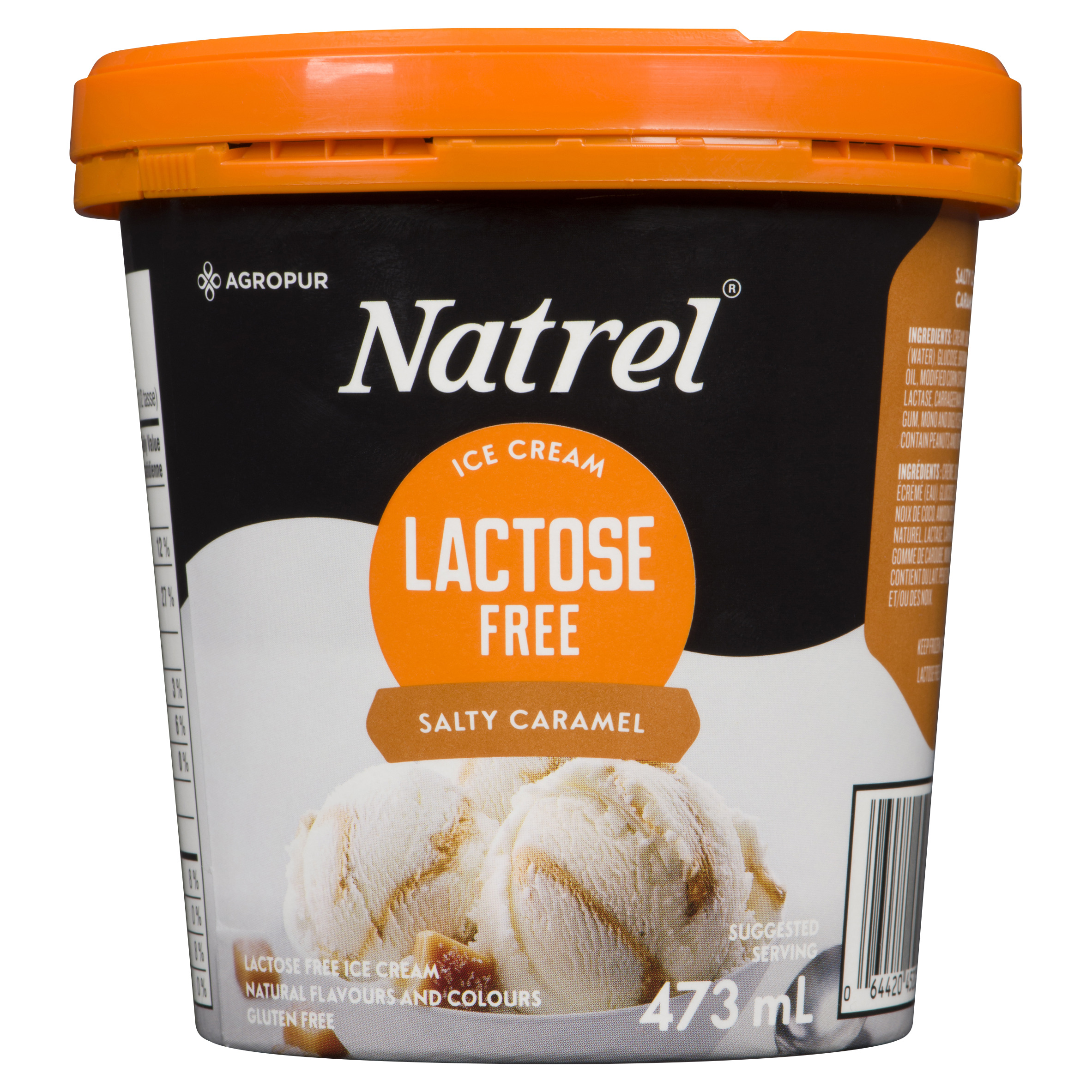 Natrel Very Vanilla Lactose Free Ice Cream