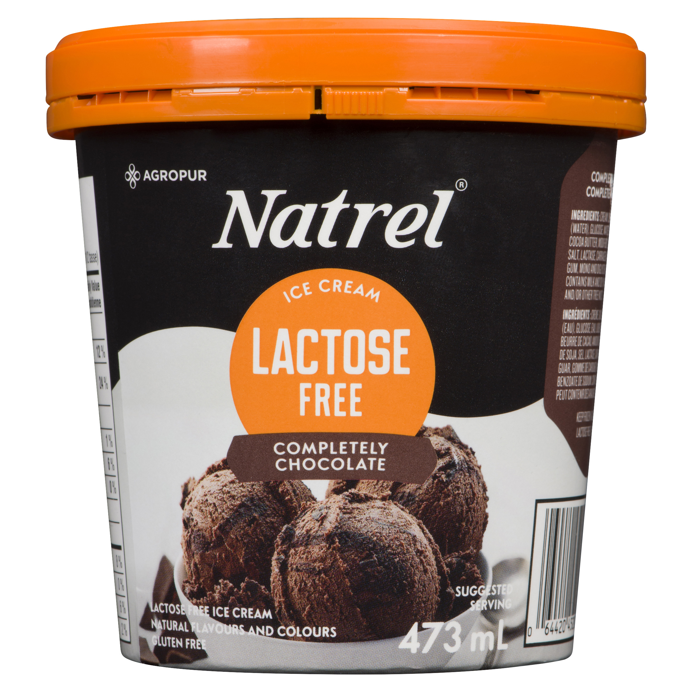 Buy Natrel Lactose-Free Ice Cream Completely Chocolate 473 ml