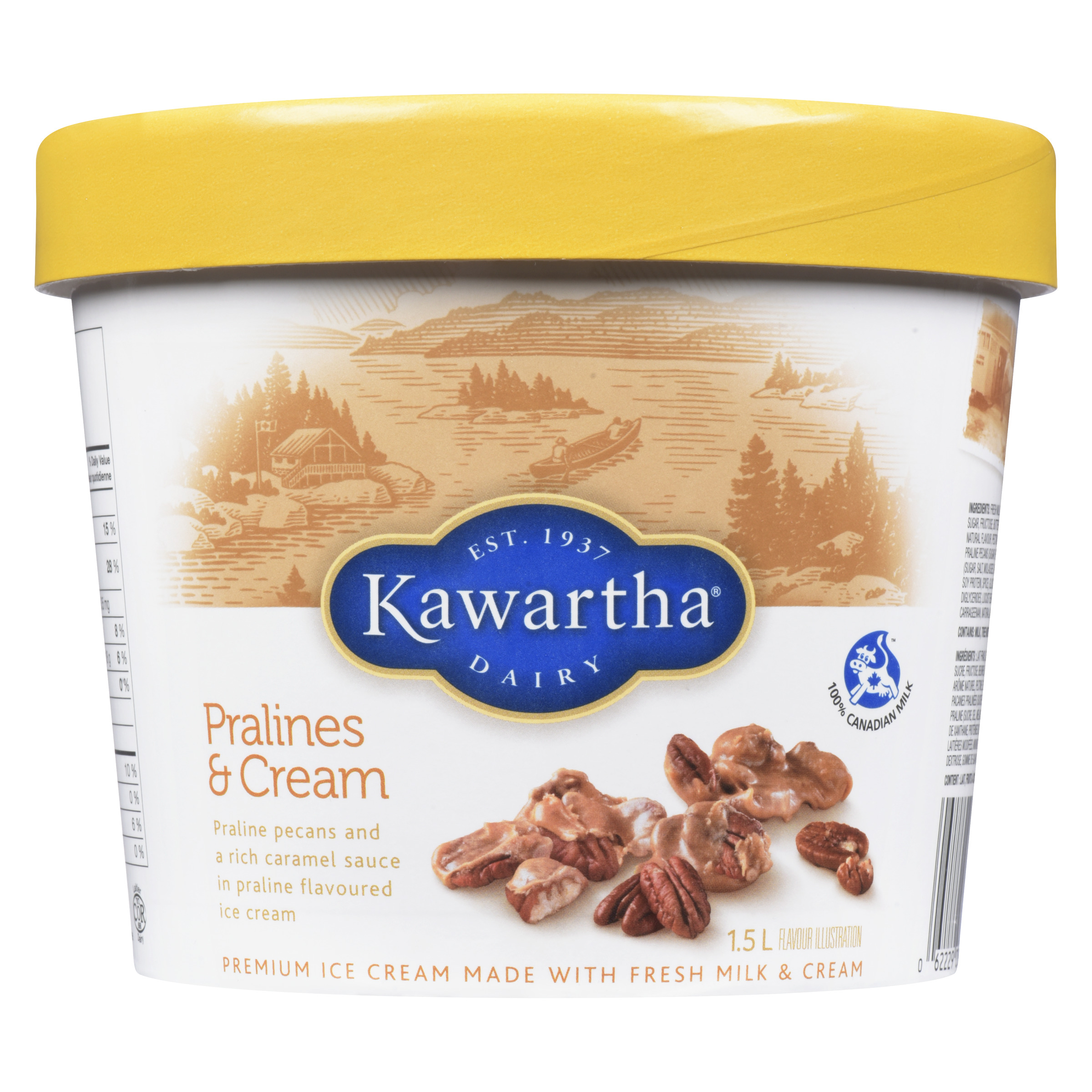 Kawartha Dairy Pralines & Cream Ice Cream