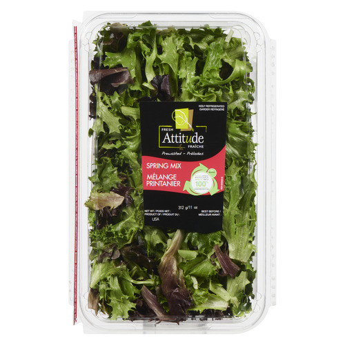 Buy Fresh Attitude Spring Salad Mix 312 g | FreshCo