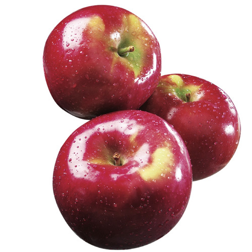 McIntosh Apples 
