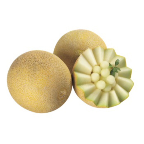 Summer Kiss Galia Melon