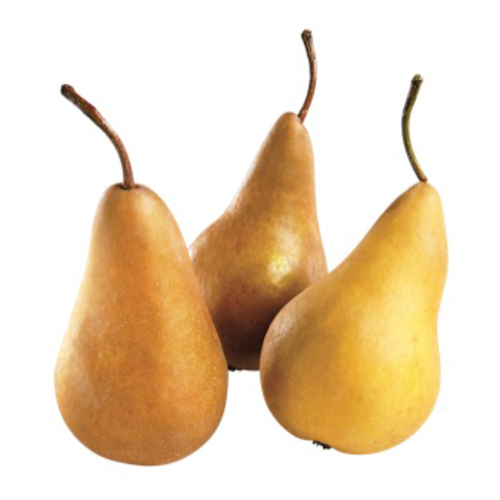 West Bosc Pears