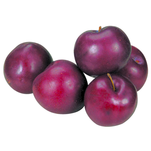 Red Plums