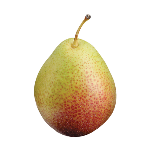 Forelle Pear