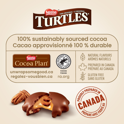 Buy Turtles Chocolate Gift box Classic Holiday 260 g | Foodland