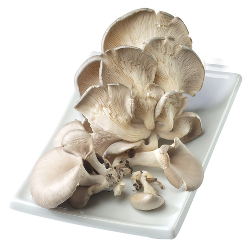 Buy Oyster Mushrooms 85 g | IGA