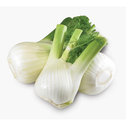 Endive Lettuce