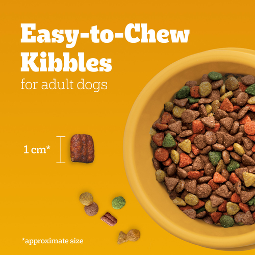 Buy Pedigree Adult Dry Dog Food High Protein Chicken and Vegetable