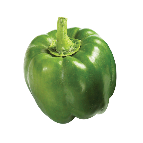 Sweet Bell Pepper Green Large