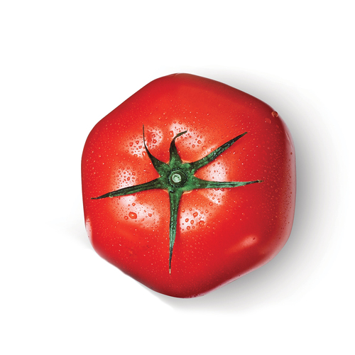 Hothouse Tomato
