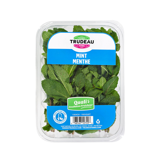 Buy Trudeau Farms Mint 42 g | IGA
