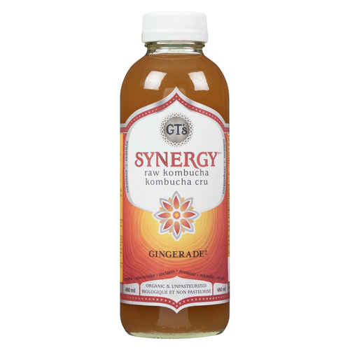 GT's Organic Kombucha Beverage Gingerade
