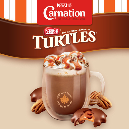 Buy Carnation Turtles Hot Chocolate Mix 400 g | Safeway Canada