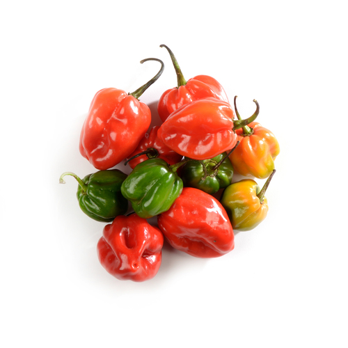 Habanero Peppers