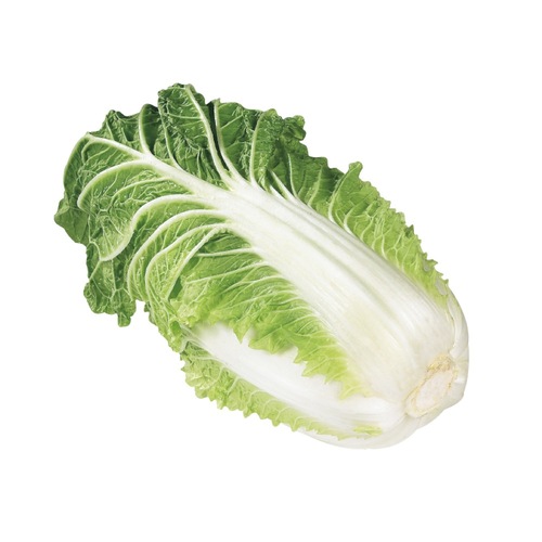 Napa Cabbage