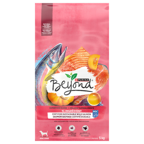 Beyond Superfood Blend Wild Caught Salmon, Egg & Pumpkin Recipe Dry Dog Food