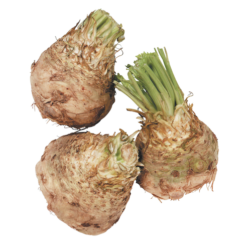 Celery Root
