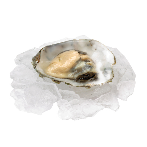 Ocean Wise Fresh Oysters