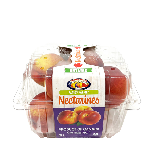 Ontario Nectarines