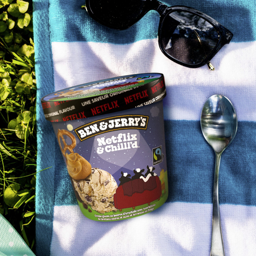 Buy Ben & Jerry's Ice Cream Netflix & Chilll'd Peanut Butter With Sweet &  Salty Pretzel 473 ml | Sobeys Inc.