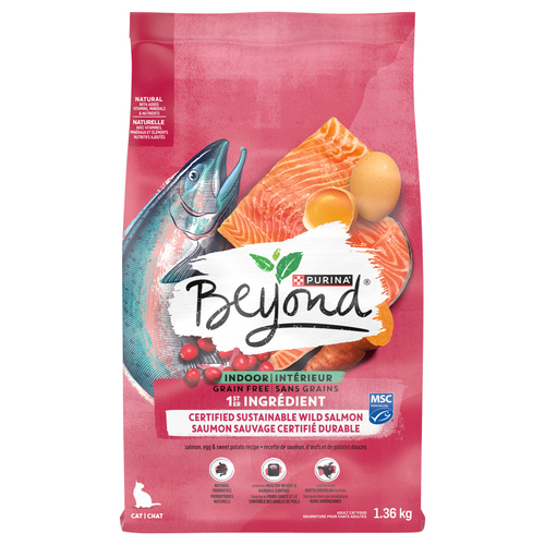 Beyond Cat Food: Unveiling New Feline Nutrition Trends