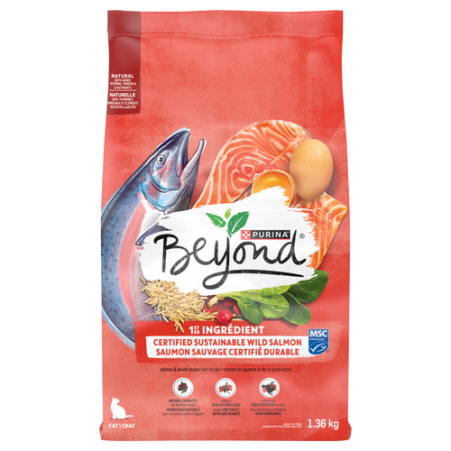 Beyond Simply Dry Cat Food Salmon & Whole Brown Rice Recipe 1.36 kg