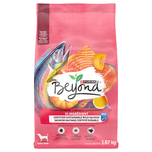 Beyond Dry Dog Food Wild Caught Salmon Egg & Pumpkin Recipe