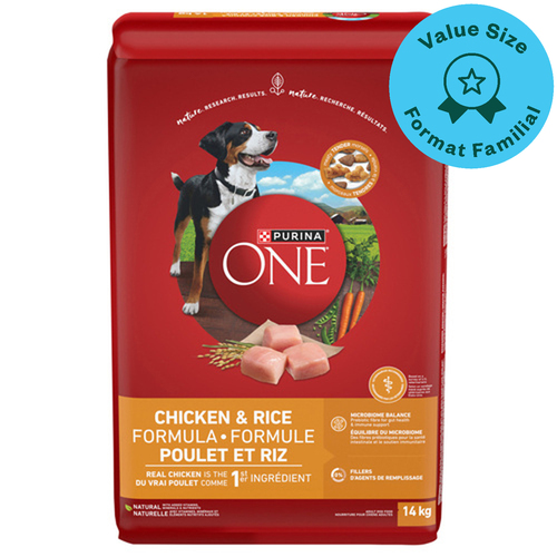 Purina ONE Lamb & Rice Formula Dry Dog Food