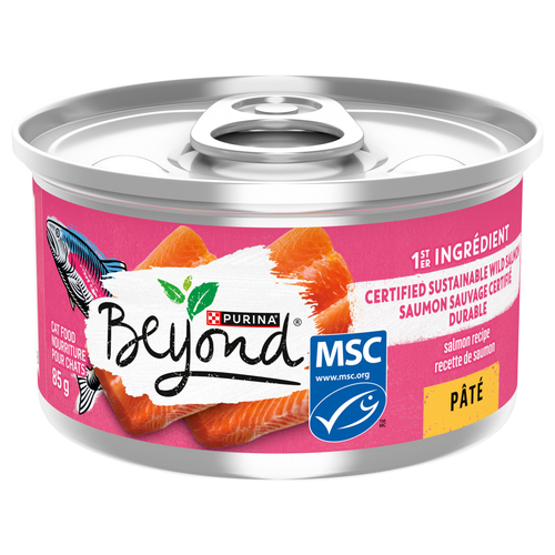 Beyond Wet Cat Food Paté Wild-Caught Salmon Recipe