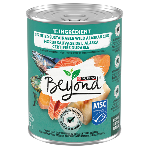 Beyond Alaskan Cod, Salmon & Sweet Potato Recipe Wet Dog Food