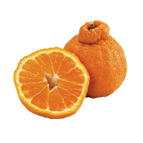 Sumo Mandarins