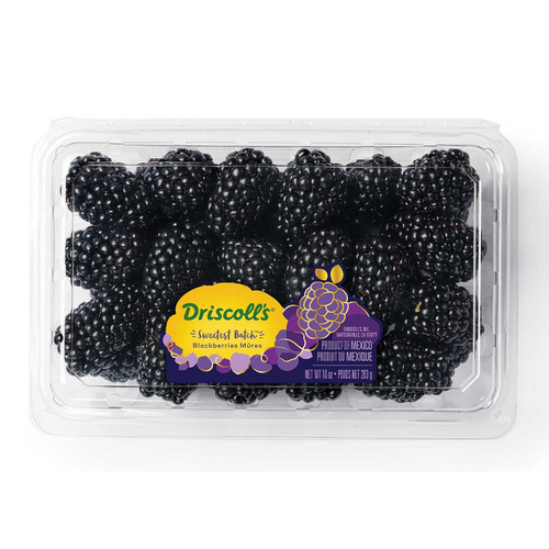 Driscoll Blackberries Sweet Batch