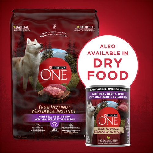 Buy Purina ONE Wet Dog Food Smart Blend True Instinct Beef Bison