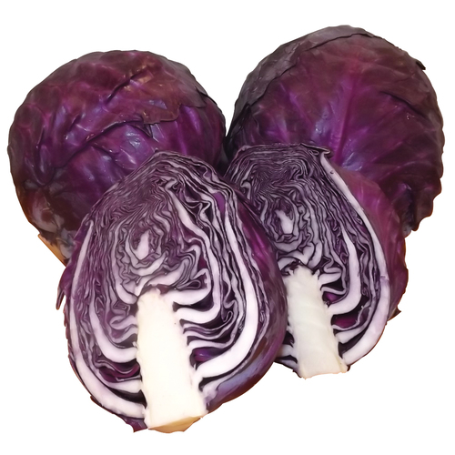 Red Cabbage