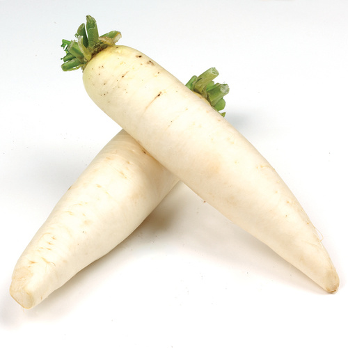 Buy Lo Bok Daikon Radish 1 Count | Safeway Canada