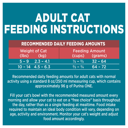 How Much Dry Food to Feed a Cat Per Day: Expert Feeding Guide